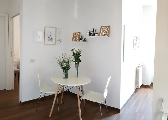 Vatican In - St. Peter's View